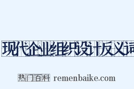 现代企业组织设计反义词是什么意思的图片